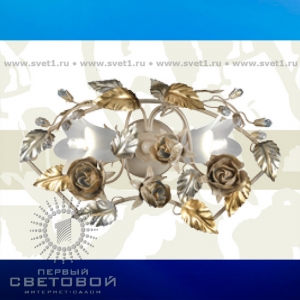 Passeri International BN8100/2 Rose Настенный-потолочный светильник