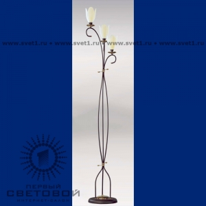 Bejorama Tulipan 6022