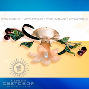 Passeri International F 6475/1 Frutta Настенный-потолочный светильник